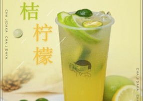 蜂鸟电竞 ：金桔柠檬